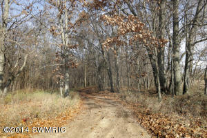 18727 Marcellus Rd, Three Rivers, MI 49093 photo 18