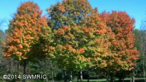 51698 Johnson Rd, Three Rivers, MI 49093 photo 9