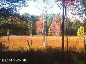 1960 E 6 Mile, White Cloud, MI 49349 photo 6
