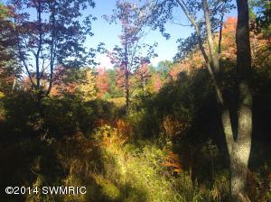 1960 E 6 Mile, White Cloud, MI 49349 photo 8