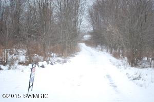 5217 Benton, Belding, MI 48809 photo 4