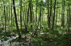 3900 2 Mile Rd, Gladwin, MI 48624 photo 19