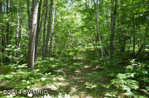 3900 2 Mile Rd, Gladwin, MI 48624 photo 15