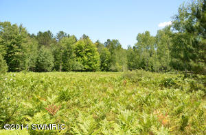 3900 2 Mile Rd, Gladwin, MI 48624 photo 17