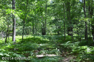3900 2 Mile Rd, Gladwin, MI 48624 photo 16