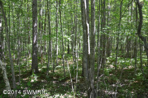3900 2 Mile Rd, Gladwin, MI 48624 photo 18