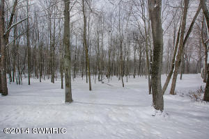8059 Lessiter Rd NE, Belding, MI 48809 photo 35