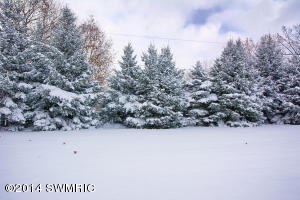 8059 Lessiter Rd NE, Belding, MI 48809 photo 36