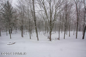 8059 Lessiter Rd NE, Belding, MI 48809 photo 30
