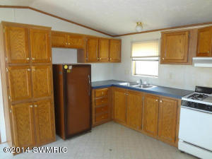 1213 E Jackson St, White Cloud, MI 49349 photo 3