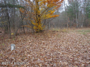 1213 E Jackson St, White Cloud, MI 49349 photo 12