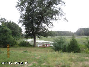 19075 S River Rd, Three Rivers, MI 49093 photo 7