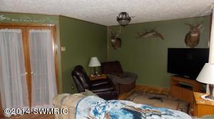 847 Tow Rd SE, Stanton, MI 48888 photo 8