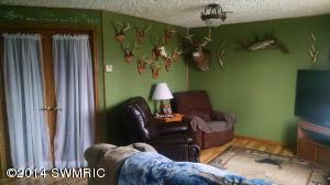 847 Tow Rd SE, Stanton, MI 48888 photo 3