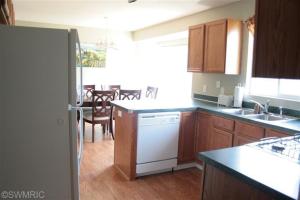 375 Pineview Dr, Belding, MI 48809 photo 4