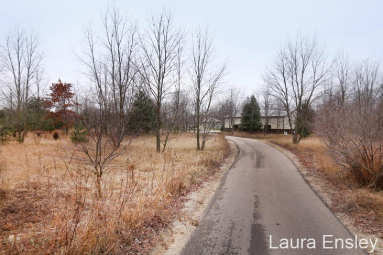 6761 Dumon, Belding, MI 48809 photo 35