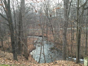 6964 Forest View Trl, Saranac, MI 48881 photo 3