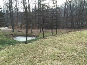 6964 Forest View Trl, Saranac, MI 48881 photo 9