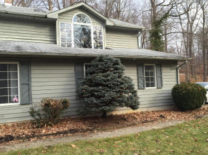 6964 Forest View Trl, Saranac, MI 48881 photo 2