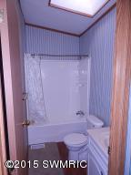 5620 N Miles Rd, Stanton, MI 48888 photo 13