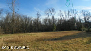 27909 Longnecker Rd, Mendon, MI 49072 photo 14