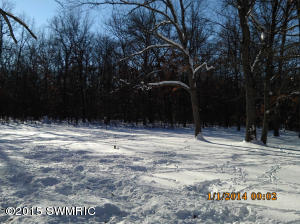 1620 W Echo, White Cloud, MI 49349 photo 13