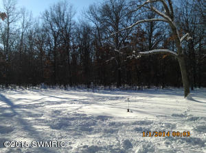1620 W Echo, White Cloud, MI 49349 photo 15