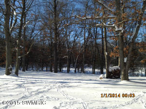 1620 W Echo, White Cloud, MI 49349 photo 16
