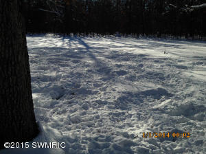 1620 W Echo, White Cloud, MI 49349 photo 12
