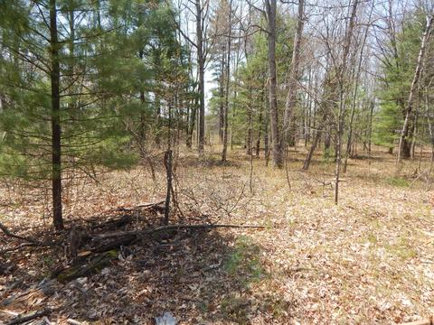 527 S Pne, White Cloud, MI 49349 photo 5