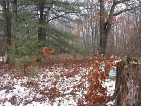 527 S Pne, White Cloud, MI 49349 photo 7