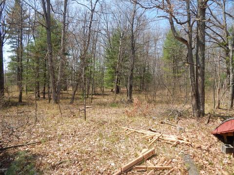527 S Pne, White Cloud, MI 49349 photo 4