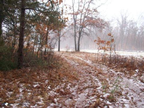 527 S Pne, White Cloud, MI 49349 photo 6