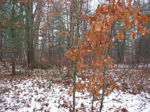 527 S Pne, White Cloud, MI 49349 photo 8