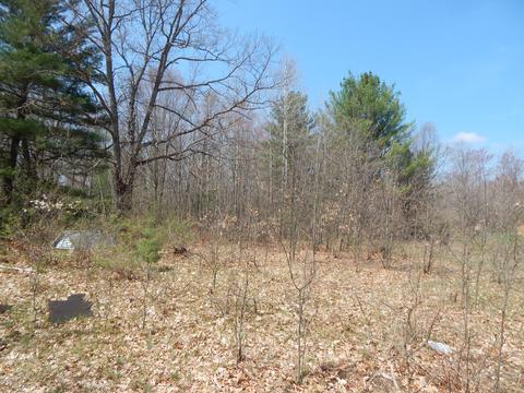 527 S Pne, White Cloud, MI 49349 photo 1