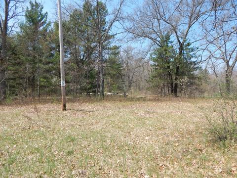 527 S Pne, White Cloud, MI 49349 photo 3