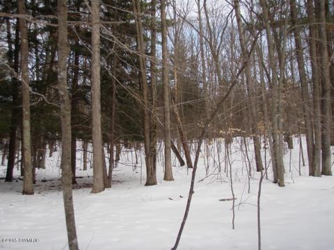 7964 Arthur Rd, Hesperia, MI 49421 photo 4