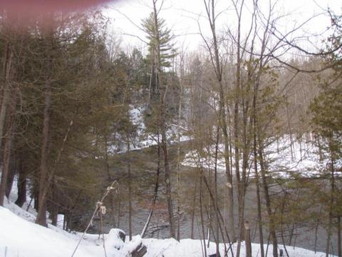 7964 Arthur Rd, Hesperia, MI 49421 photo 1