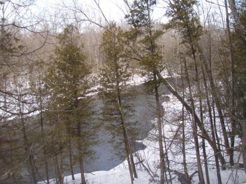 7964 Arthur Rd, Hesperia, MI 49421 photo 2