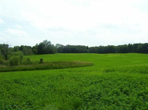 9404 S Collins Rd, Fenwick, MI 48834 photo 3