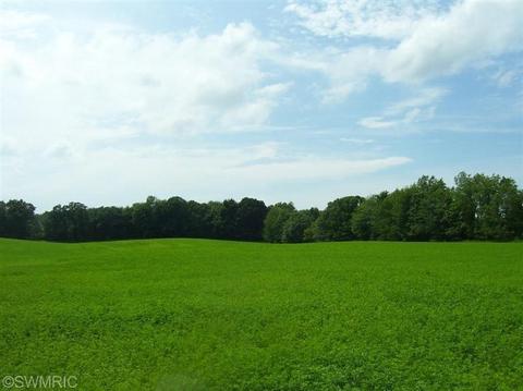 9404 S Collins Rd, Fenwick, MI 48834 photo 2