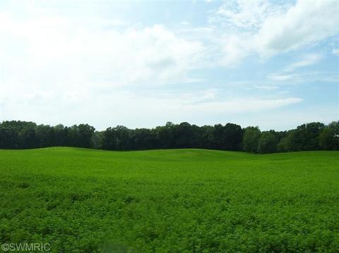 9404 S Collins Rd, Fenwick, MI 48834 photo 1