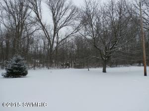 9305 Kennedy Rd, Munith, MI 49259 photo 4