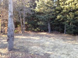 5063 W Jack Pine Dr, Grant, MI 49327 photo 22