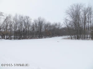 20429 Mahnke Rd, Mendon, MI 49072 photo 14