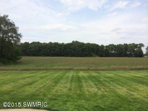 20429 Mahnke Rd, Mendon, MI 49072 photo 18
