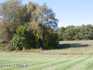 20429 Mahnke Rd, Mendon, MI 49072 photo 19