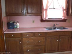 121 E Day St, Stanton, MI 48888 photo 11