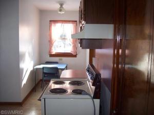 121 E Day St, Stanton, MI 48888 photo 10