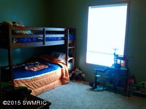 4043 Waldron Rd N, Edmore, MI 48829 photo 4